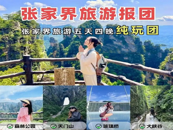 張家界純玩五日游報團多少錢，看完這篇攻略就夠了！